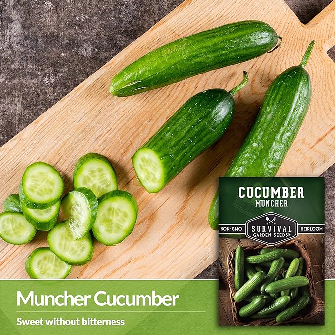 Survival Garden Seeds 1 Pack Muncher Cucumber Seeds for Planting – Seed Packet with Instructions to Grow Burpless Slicing Cucumbers in Your Home Vegetable Garden - Non-GMO Heirloom Variety