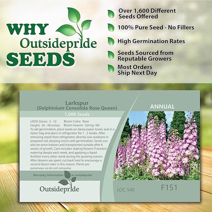 Outsidepride 1000 Seeds Delphinium Rose Larkspur Flower Seeds for Planting