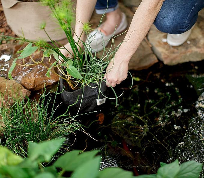 Smart Pot Pond Flexible Aquatic Plant Container for Water Gardening, 10 Gallon