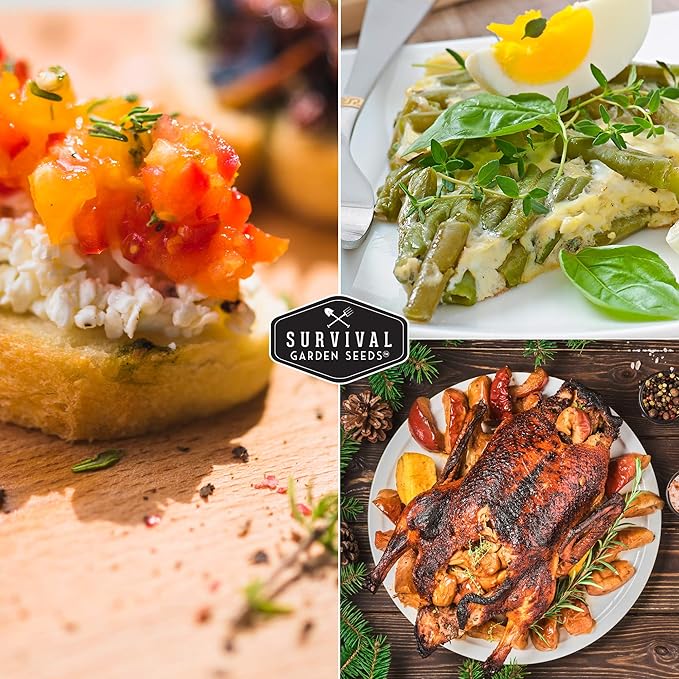 Survival Garden Seeds - Thyme Seed for Planting - 2 Packs with Instructions to Plant and Grow Thymus Vulgaris Herb Plants in Your Home Vegetable Garden - Non-GMO Heirloom Variety