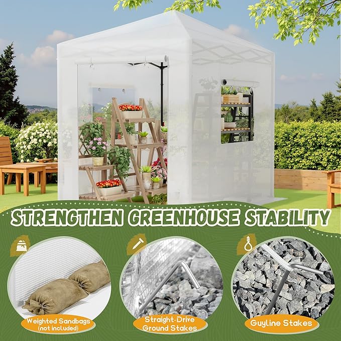 Devoko Walk-in Greenhouse, Portable Pop-in Green House with Zippered Door and 2 Roll-up Windows and PE Cover, Portable and Easy Assemble (White, 8x6 Feet)