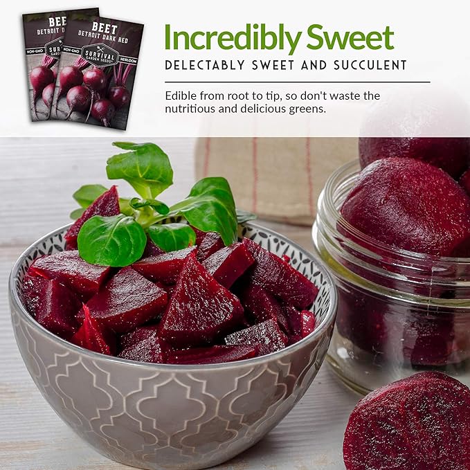Survival Garden Seeds - Detroit Dark Red Beet Seed for Planting - Packet with Instructions to Plant and Grow Delicious Root Vegetables in Your Home Vegetable Garden - Non-GMO Heirloom Variety