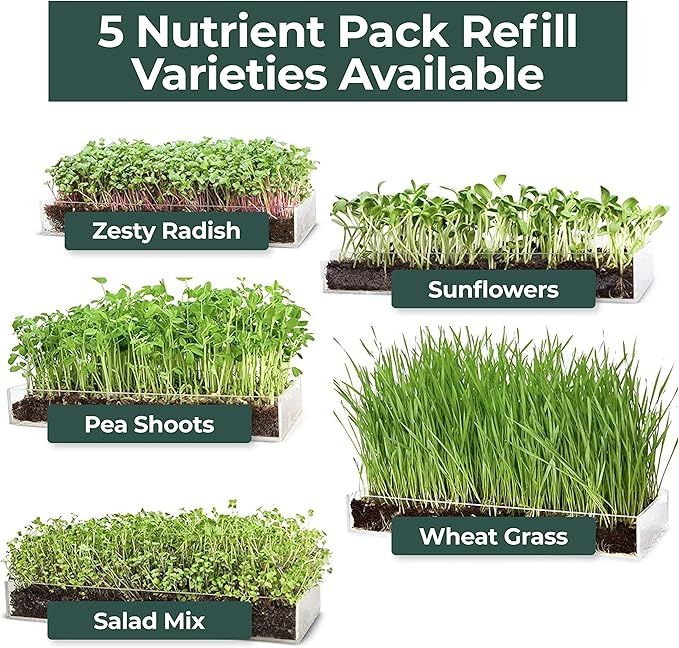 Window Garden Microgreens Grow Kit - Non GMO, Organic Microgreen Seeds, Fiber Soil, Acrylic Tray, Sprayer - Indoor & Outdoor Tools for Gardening, Seedling, Planting Superfood, Hydroponic Growing Kit