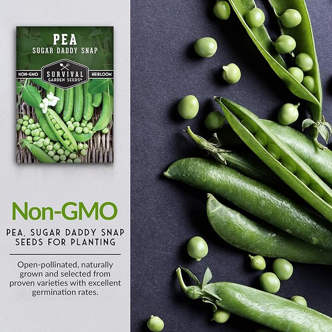 Survival Garden Seeds - Sugar Daddy Snap Pea Seed for Planting - 5 Packs with Instructions to Plant and Grow in Delicious Pea Pods Your Home Vegetable Garden - Non-GMO Heirloom Variety