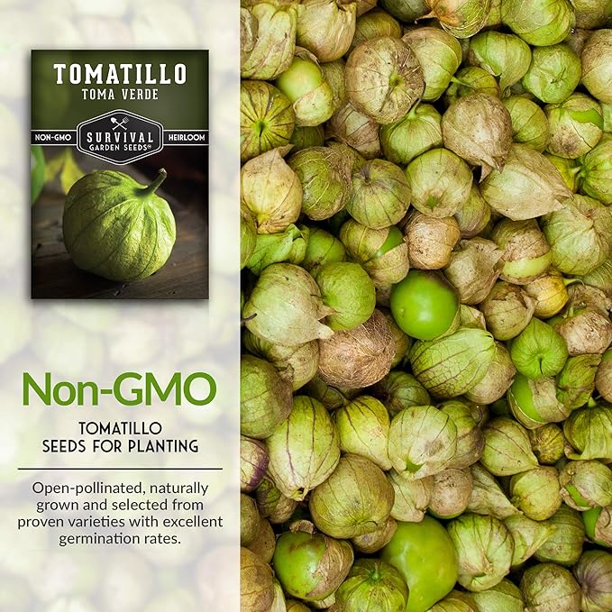 Survival Garden Seeds - Toma Verde Tomatillo Seed for Planting - 3 Packs with Instructions to Plant & Grow Green Salsa Vegetables in Your Home Vegetable Garden - Non-GMO Heirloom Variety
