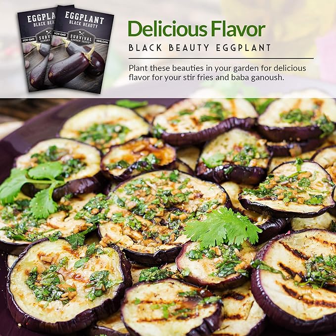 3 Packs Black Beauty Eggplant Seed for Planting - Packet with Instructions to Grow Purple Aubergine Plants in Your Home Vegetable Garden - Non-GMO Heirloom Variety - Survival Garden Seeds