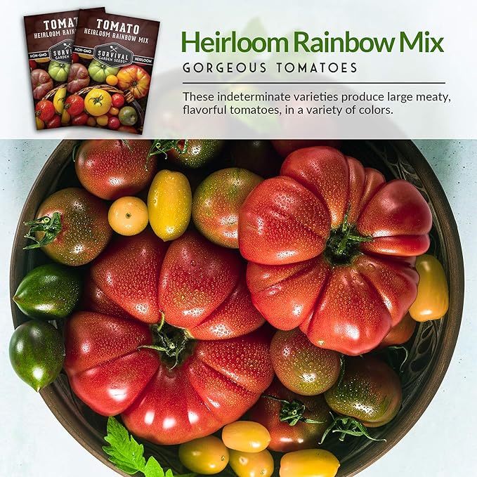 Survival Garden Seeds - Heirloom Rainbow Mix Tomato Seed for Planting - 3 Packets with Instructions to Plant and Grow in Your Home Vegetable Garden - Non-GMO Heirloom Variety - 3 Packs