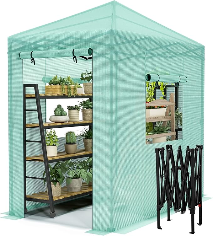 Devoko Walk-in Greenhouse, Portable Pop-in Green House with Zippered Door and 2 Roll-up Windows and PE Cover, Portable and Easy Assemble (Green, 6x4 Feet)
