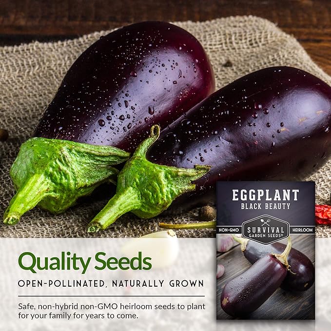 5 Packs Black Beauty Eggplant Seed for Planting - Packet with Instructions to Grow Purple Aubergine Plants in Your Home Vegetable Garden - Non-GMO Heirloom Variety - Survival Garden Seeds