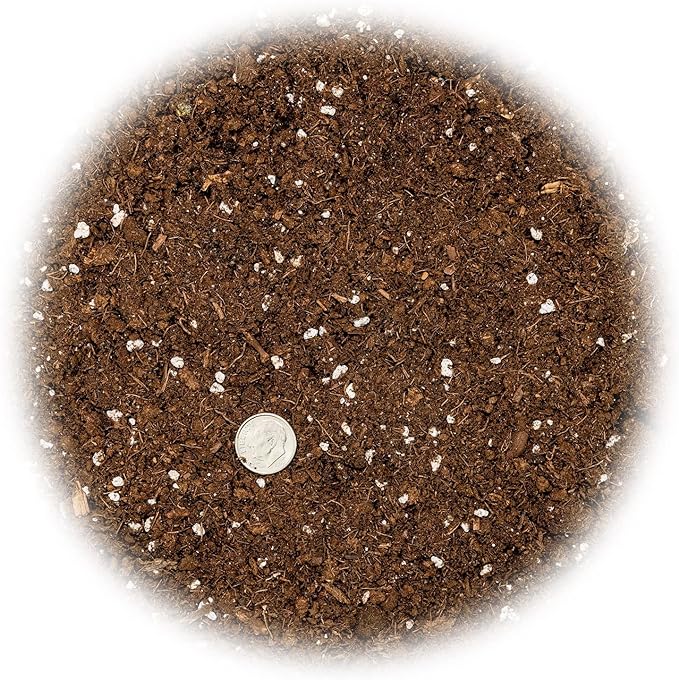 Tailor-Made Soil Mix for Tangerine Trees : Grow Your Own Juicy Tangerines with Confidence - 2 Quart