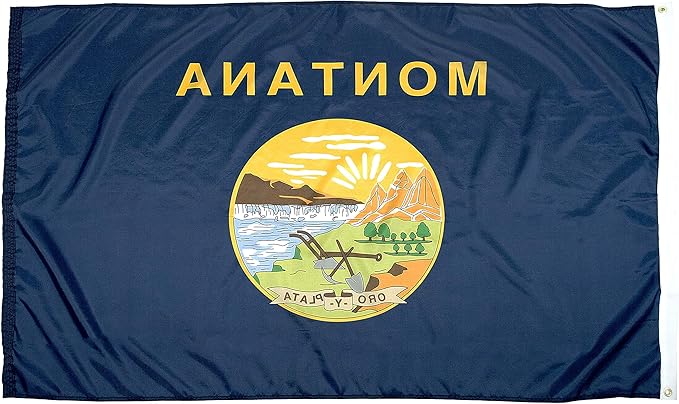FlagSource Montana Nylon State Flag, Made in USA, 4x6'