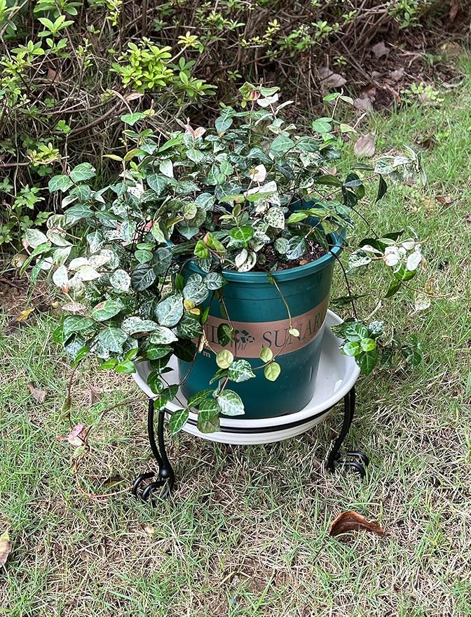 2 Pack Metal Gazing Ball Stand for 10 or 12 Inch Outdoor Garden Gazing Globes,Metal Display Stand for Plant or Flowerpot Holder,Birdbath Bowl Stand 5 Inch Tall,Black