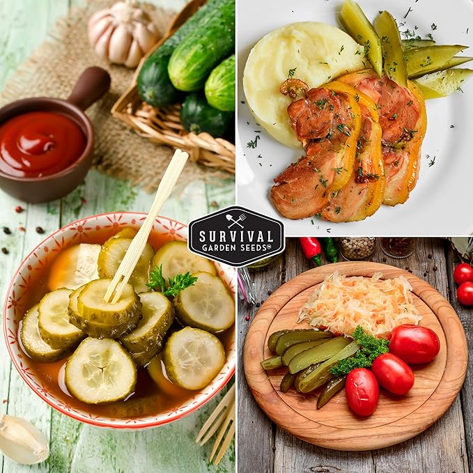 Survival Garden Seeds - National Pickling Cucumber Seed for Planting - Packet with Instructions to Plant and Grow Cucumis Sativus in Your Home Vegetable Garden - Non-GMO Heirloom Variety