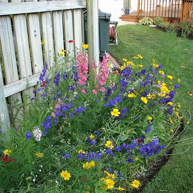California Wildflower Seed Mix, Covers 325 Sq Ft, 22 Flower Varieties, Over 54,000 Seeds - Created By Nature