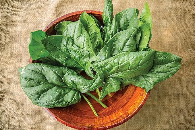 Burpee A La Carte Hybrid Spinach Seeds 300 seeds