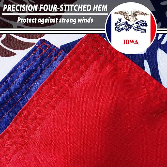 FLAGWIN Iowa Flag 3x5 FT - 3 Ply Double Sided Polyester Iowa State Flag with Brass Grommets - Vivid Color and Fade Proof State of Iowa Flags 3x5 Outdoor