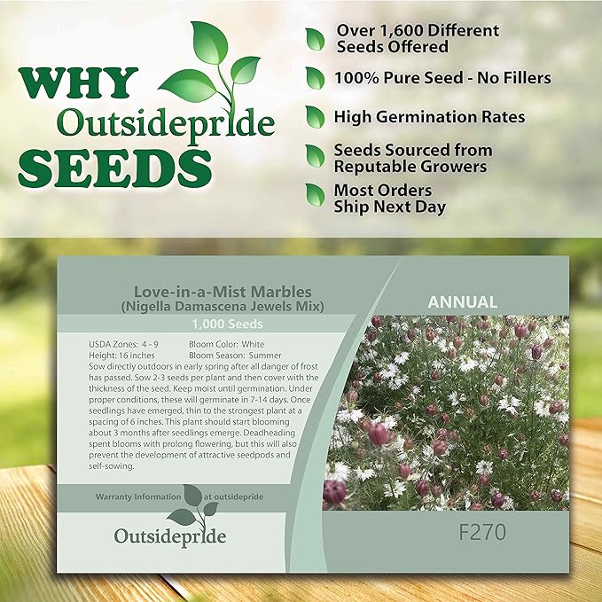 Outsidepride 1000 Seeds Annual Nigella White Love-in-a-Mist Flower Seeds for Planting