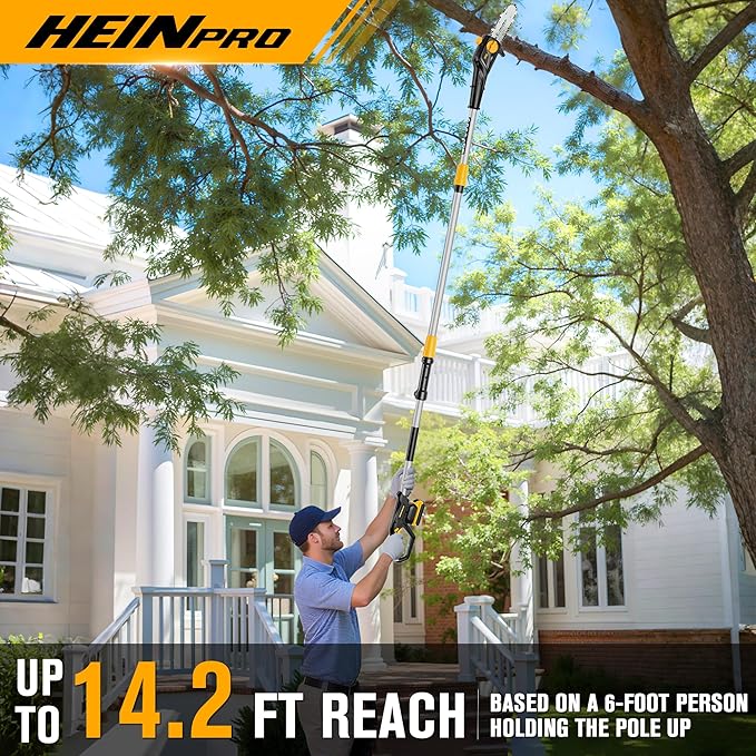 Cordless Pole Saw 8-Inch Compatible with Dewalt 20V MAX Battery, Electric Pole Saws for Tree Trimming Battery Powered, Extension Up to14.2-Feet Pole Chainsaw (Battery not Included)