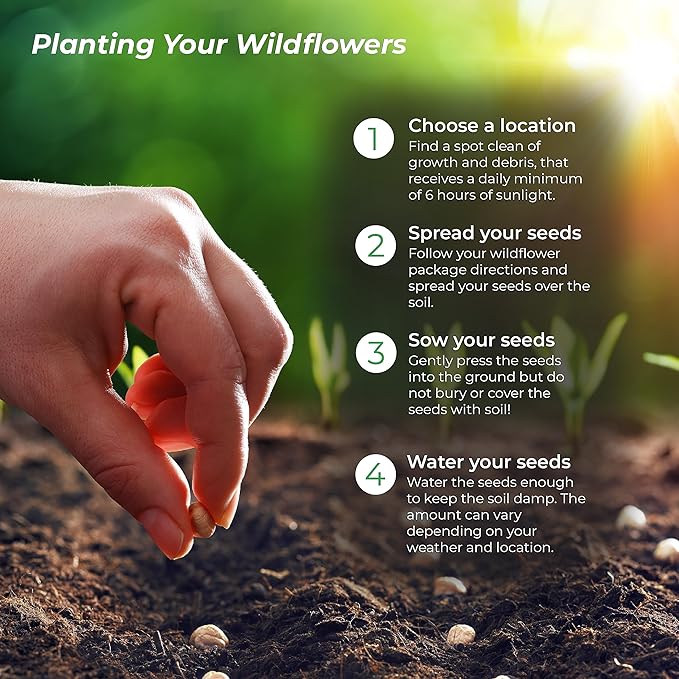 California Wildflower Seed Mix, Covers 325 Sq Ft, 22 Flower Varieties, Over 54,000 Seeds - Created By Nature