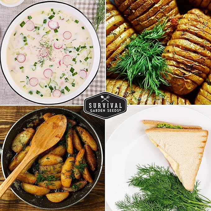 Survival Garden Seeds - Dill Seed for Planting - Packet with Instructions to Plant and Grow Popular Pickling Herbs in Your Home Vegetable and Herb Garden - Non-GMO Heirloom Variety - 2 Pack