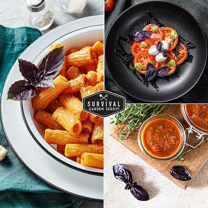 Survival Garden Seeds - Opal Basil Seed for Planting - 3 Packs with Instructions to Plant and Grow Delicious & Unique Purple Basil Herb Plants in Your Home Vegetable Garden - Non-GMO Heirloom Variety