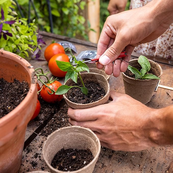 Hapinest Indoor Hot and Spicy Pepper Garden Seed Starter Growing Kit Gardening Gifts for Men and Women - Jalapeno, Habanero, Hungarian Yellow Wax, Ghost, and Cayenne