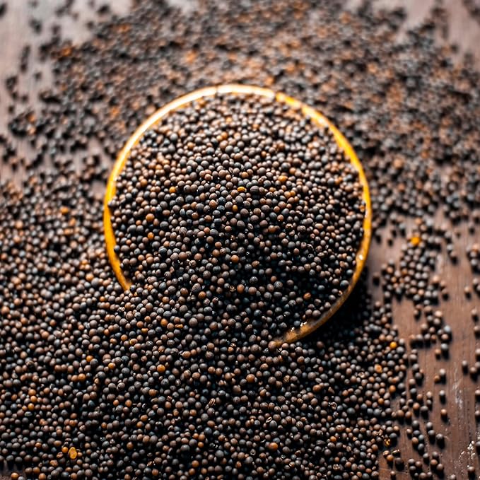 Outsidepride 5000 Seeds Annual Black Mustard Herb Garden Seed for Microgreens, Sprouts, & Cooking
