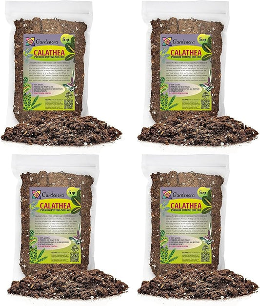 Calathea Potting Mix - Unlock Robust Growth and Striking Leaf Patterns with Our High-Performance Formula - 20 Quart