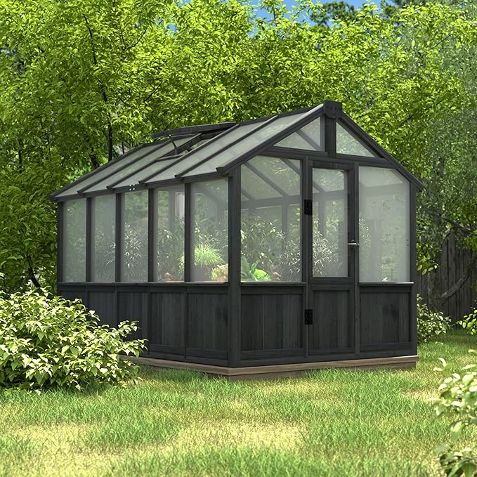 BlueWish 6x10FT Greenhouse, Greenhouse for Outdoor with Cedar Frame, Adjustable Vent, Wood Greenhouses with Polycarbonate Panel, Green House for Outside, Garden, Backyard, Black