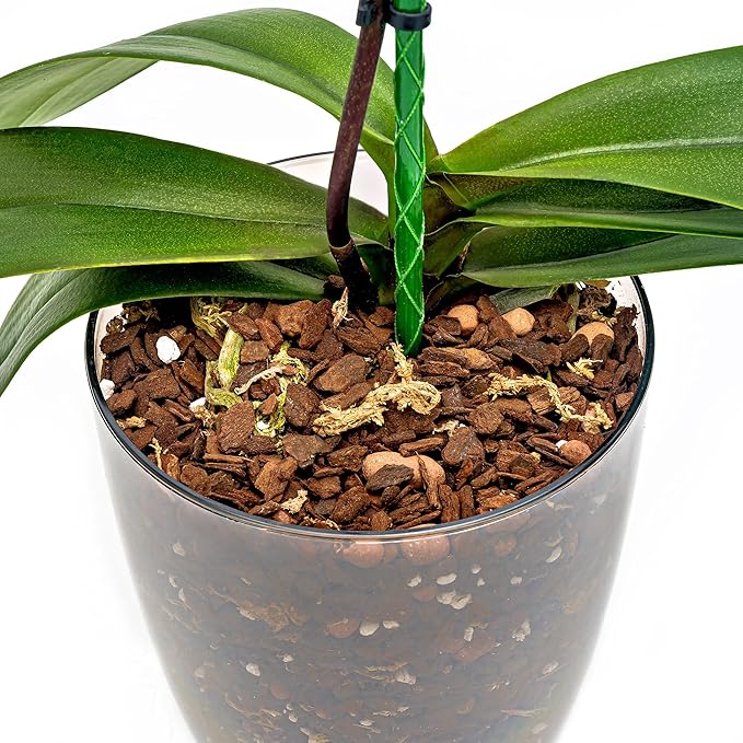 Organic Premium Orchid Soil Mix by Gardenera - Hand Mixed Classic Sphagnum Moss Potting Soil Mix - for Phalaenopsis Orchid - 3 Quart - Made in USA
