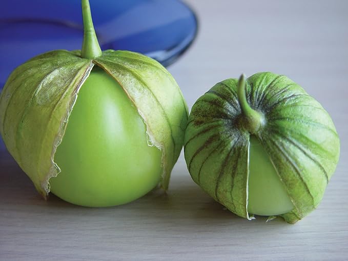 Burpee Gigante Tomatillo Seeds 160 seeds