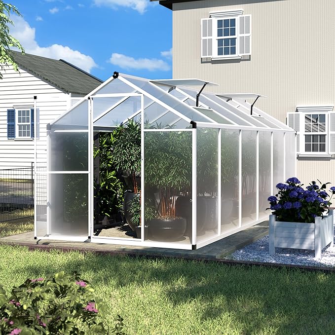BlueWish 6x12FT Greenhouse for Outdoors, Aluminum Heavy Duty Greenhouse Kit with Lockable Door, 4MM Thickness Polycarbonate, Upgraded Rivet Structure Walk-in Green House for Garden, White
