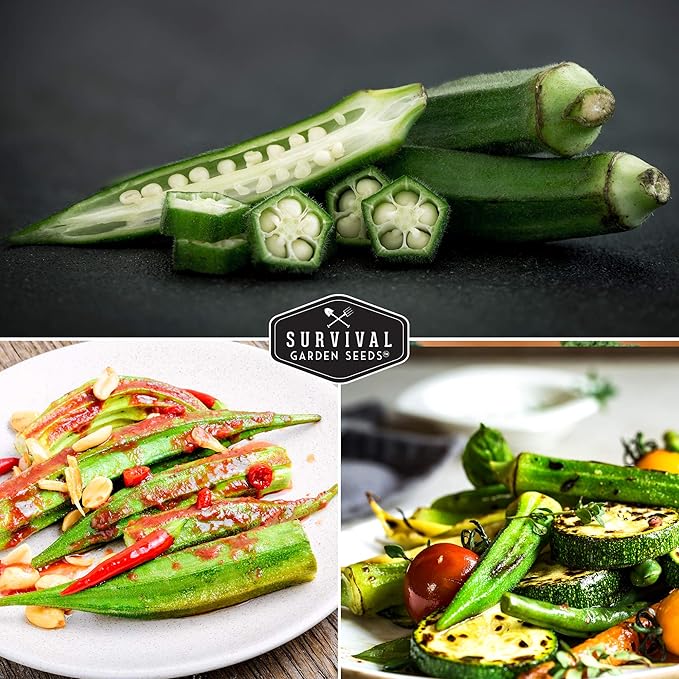 Survival Garden Seeds - Emerald Okra Seed for Planting - Packet with Instructions to Plant and Grow Tender and Large Okra in Your Home Vegetable Garden - Non-GMO Heirloom Variety - 3 Pack