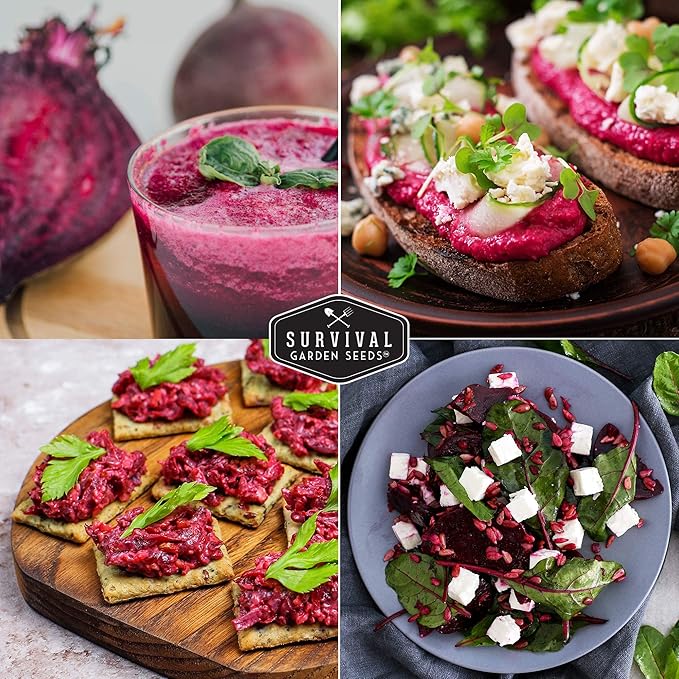 Survival Garden Seeds - Detroit Dark Red Beet Seed for Planting - 3 Packs with Instructions to Plant and Grow Delicious Root Vegetables in Your Home Vegetable Garden - Non-GMO Heirloom Variety