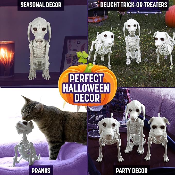 Halloween Dog Skeleton 3 Pack Indoor/Outdoor Decorations- 10" Plastic Animal Bones for Party Table Decor, Haunted Houses, & Graveyards- A Trio of Unique Canine Skeletons- Durable and Detailed Props